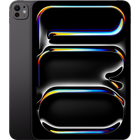 iPad Pro 11 2024 256GB
